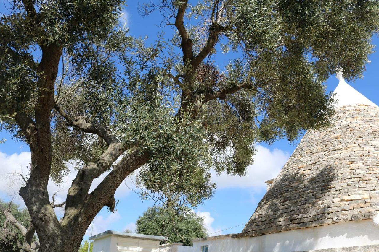 Trulli Alla Controra Conversano Buitenkant foto